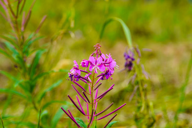 Similar image 21886651