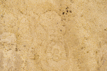 Similar image 21886652