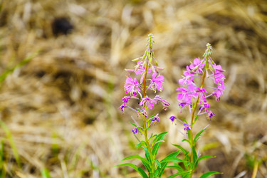 Similar image 21886653