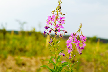 Similar image 21886654