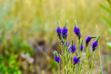 Similar image 21886655