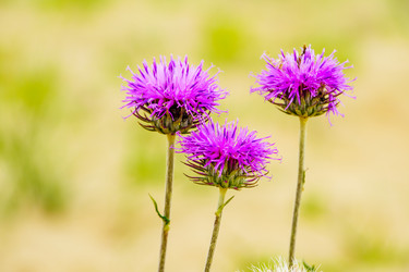 Similar image 21886656