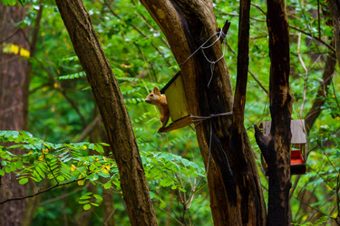 Similar image 21886657