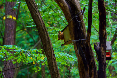 Similar image 21886658