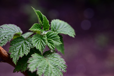 Similar image 21879411