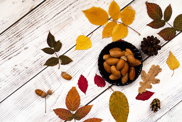 Similar image 21879418