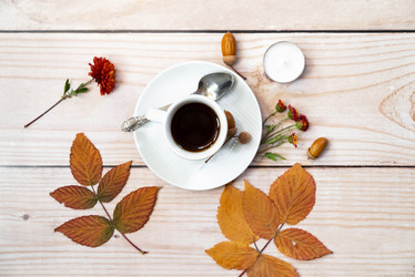 Similar image 21879420