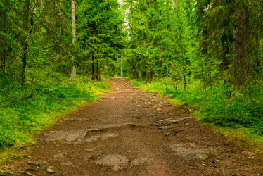 Similar image 21891933