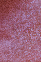 Similar image 21878802