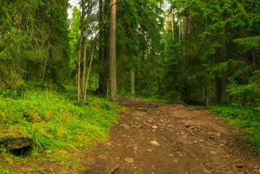 Similar image 21893950