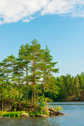 Similar image 21893963