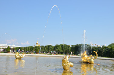 Similar image 21885767