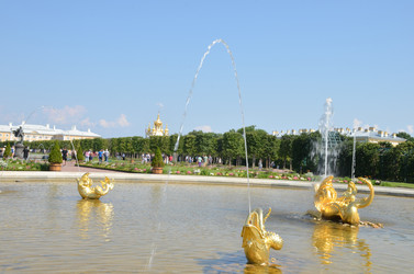 Similar image 21885768