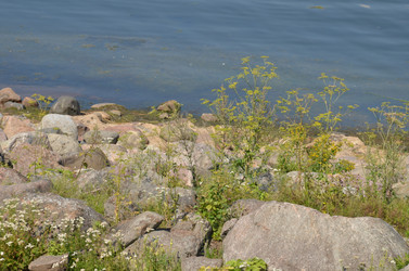 Similar image 21890336