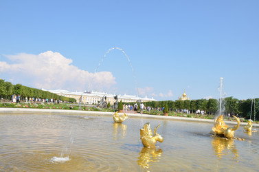 Similar image 21885769