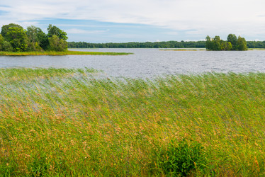 Similar image 21893873