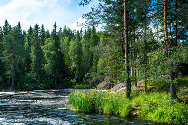 Similar image 21893874