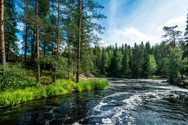 Similar image 21893876