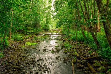 Similar image 21894018