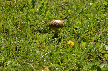 Similar image 21890337