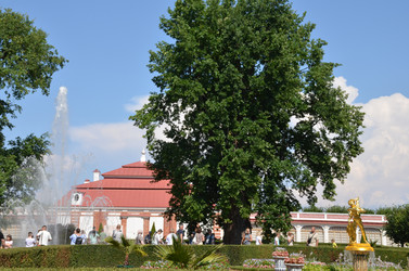 Similar image 21885803