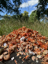 Similar image 21879512