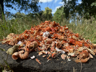 Similar image 21879513