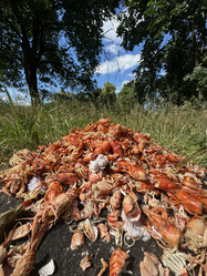 Similar image 21879514