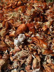 Similar image 21879515