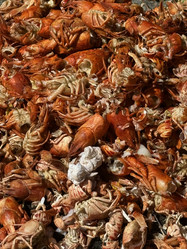 Similar image 21879516