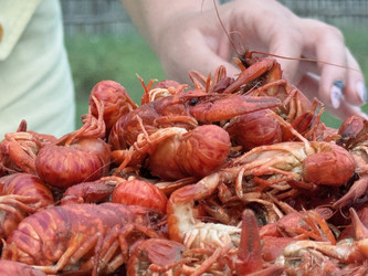 Similar image 21879523