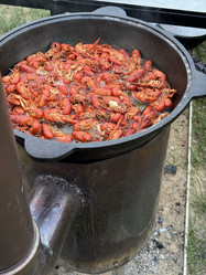 Similar image 21879526