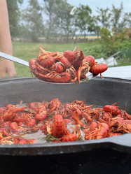 Similar image 21879530