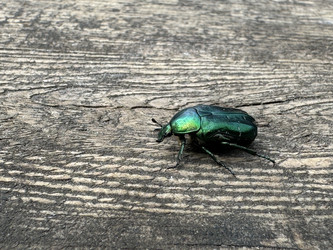 Similar image 21879533