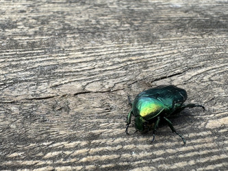 Similar image 21879535