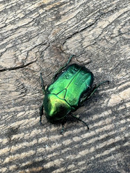 Similar image 21879536