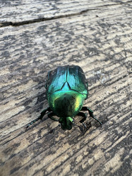 Similar image 21879537