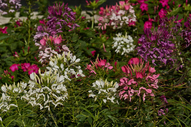 Similar image 21878638