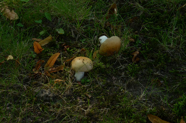 Similar image 21890339