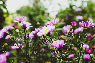 Similar image 21879539