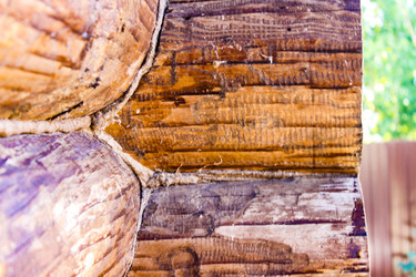 Similar image 21879542