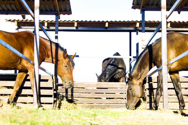 Similar image 21882544