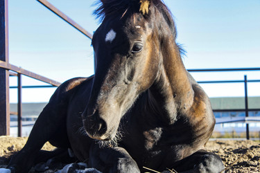 Similar image 21879545