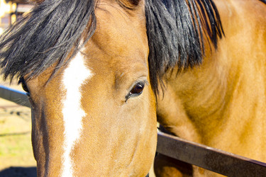 Similar image 21879546