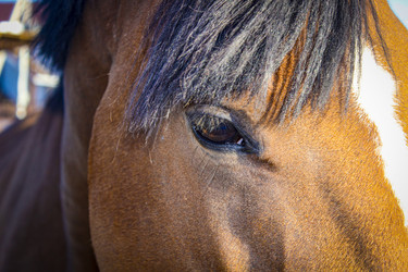 Similar image 21879547