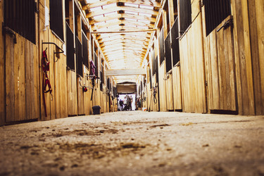 Similar image 21879550