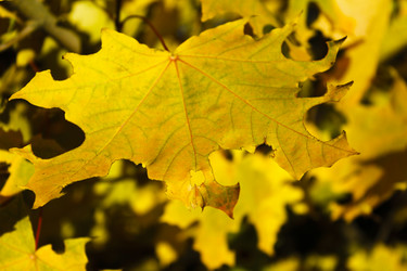 Similar image 21879551