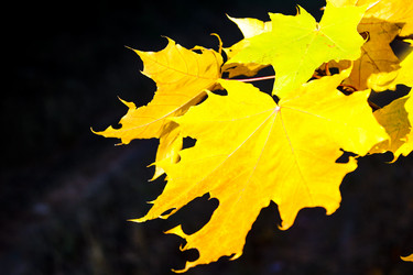 Similar image 21879552