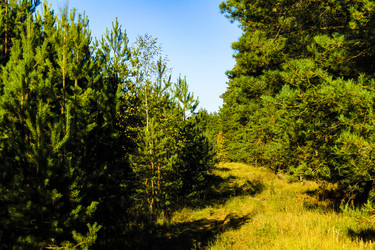 Similar image 21879553