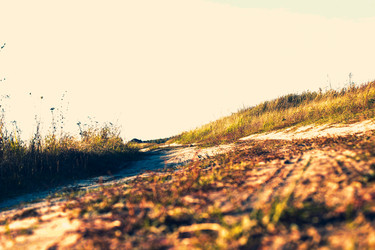 Similar image 21879554